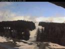 Webcam Gries am Brenner - Sattelbergalm Webcam Gries am Brenner - Sattelbergalm