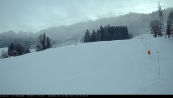 Webcam Oberndorf - Penzinghang Webcam Oberndorf - Penzinghang